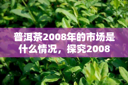 普洱茶2008年的市场是什么情况，探究2008年普洱茶市场的状况