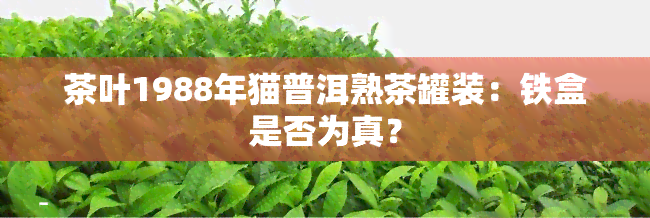 茶叶1988年猫普洱熟茶罐装：铁盒是否为真？