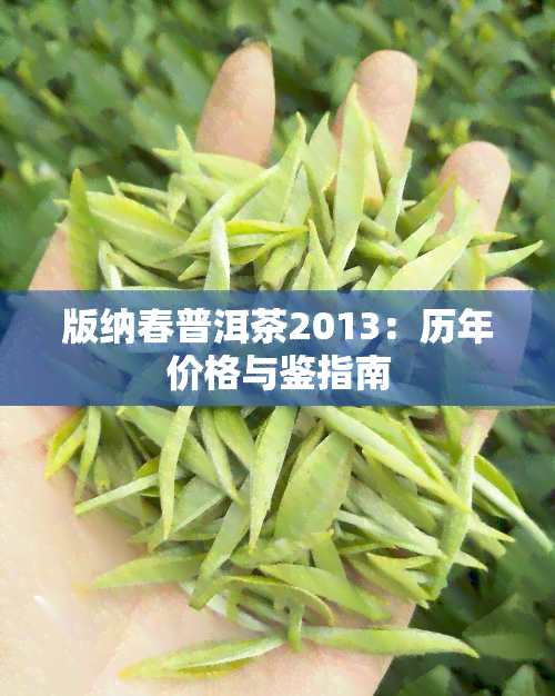 版纳春普洱茶2013：历年价格与鉴指南