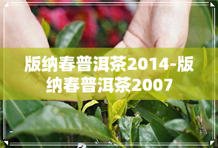 版纳春普洱茶2014-版纳春普洱茶2007