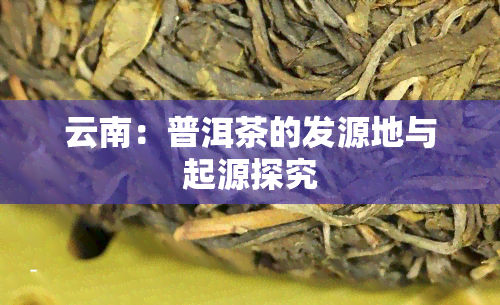 云南：普洱茶的发源地与起源探究