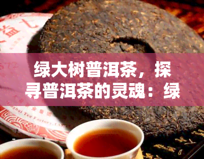 绿大树普洱茶，探寻普洱茶的灵魂：绿大树普洱茶的故事