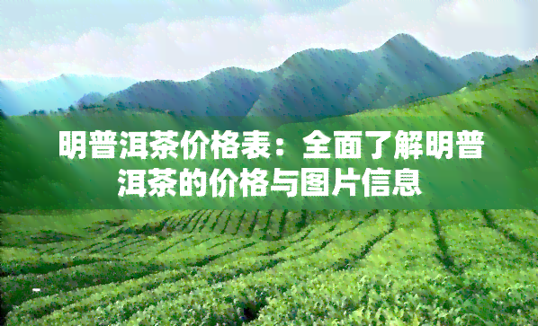 明普洱茶价格表：全面了解明普洱茶的价格与图片信息