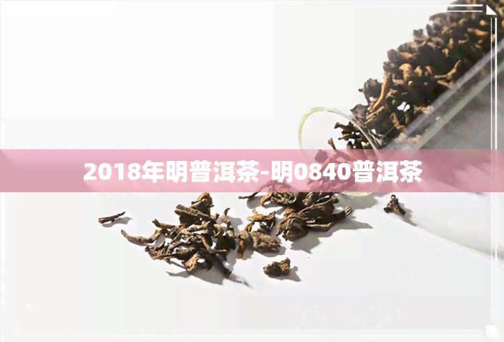 2018年明普洱茶-明0840普洱茶