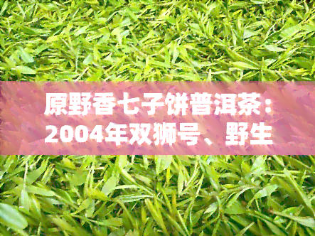 原野香七子饼普洱茶：2004年双狮号、野生茶与云南原野香茶业合作，呈现原野风韵