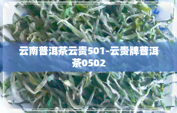 云南普洱茶云贵501-云贵牌普洱茶0502