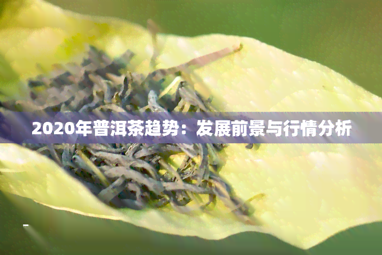 2020年普洱茶趋势：发展前景与行情分析