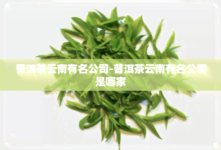 普洱茶云南有名公司-普洱茶云南有名公司是哪家