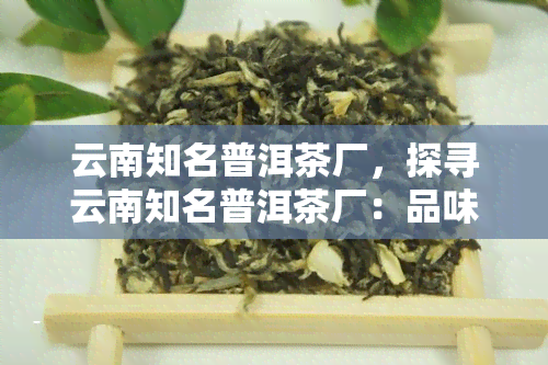 云南知名普洱茶厂，探寻云南知名普洱茶厂：品味正宗的普洱茶文化