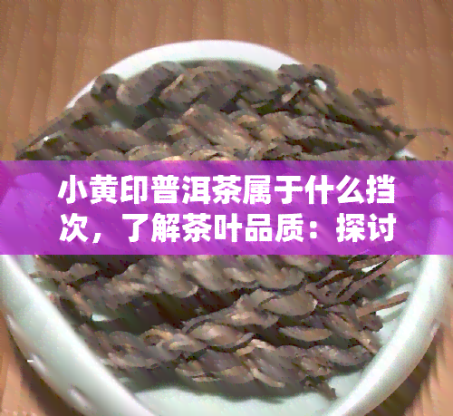 小黄印普洱茶属于什么挡次，了解茶叶品质：探讨小黄印普洱茶的档次归属