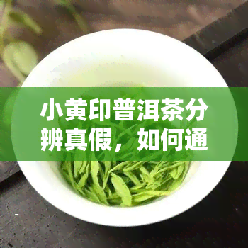 小黄印普洱茶分辨真假，如何通过“小黄印”分辨普洱茶的真伪？