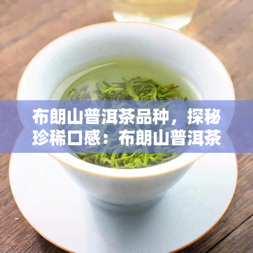 布朗山普洱茶品种，探秘珍稀口感：布朗山普洱茶品种的魅力