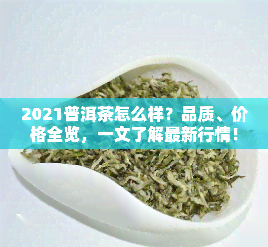 2021普洱茶怎么样？品质、价格全览，一文了解最新行情！