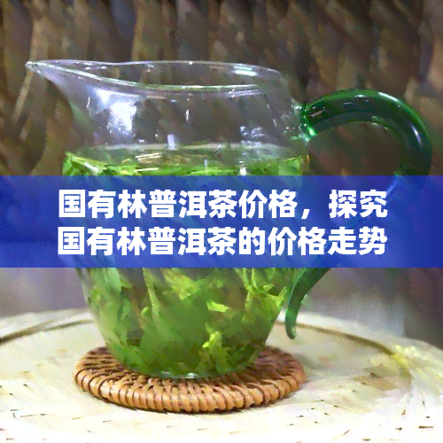 国有林普洱茶价格，探究国有林普洱茶的价格走势与影响因素