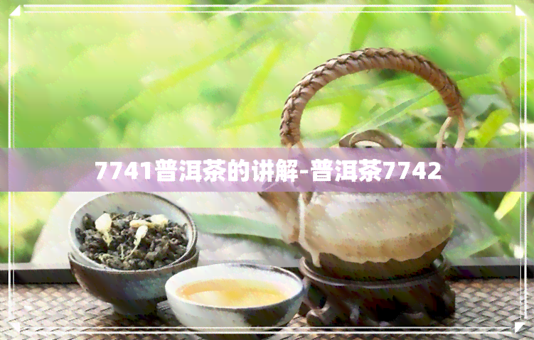 7741普洱茶的讲解-普洱茶7742