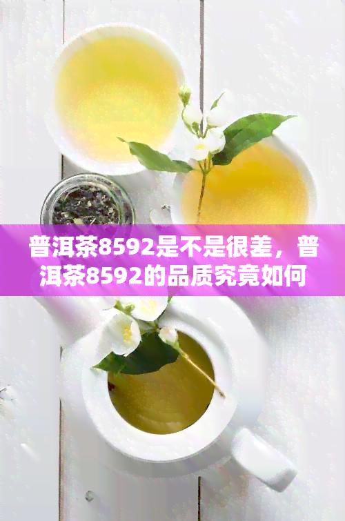 普洱茶8592是不是很差，普洱茶8592的品质究竟如何？