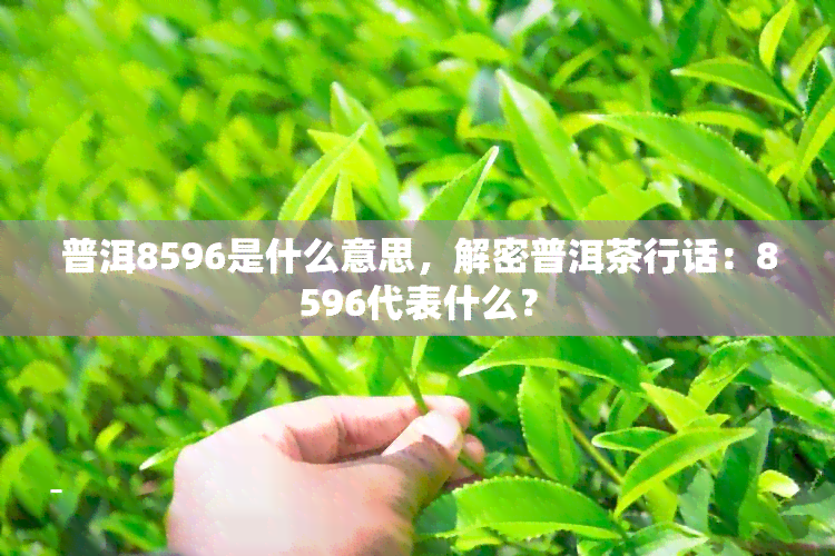 普洱8596是什么意思，解密普洱茶行话：8596代表什么？