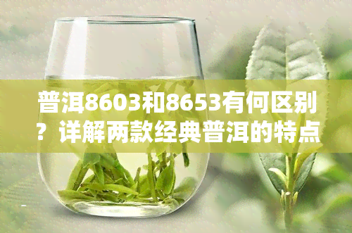 普洱8603和8653有何区别？详解两款经典普洱的特点和区别