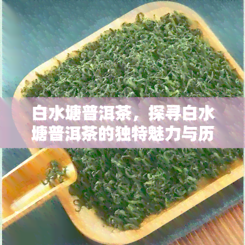 白水塘普洱茶，探寻白水塘普洱茶的独特魅力与历渊源