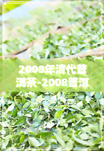 2008年清代普洱茶-2008普洱茶价格表