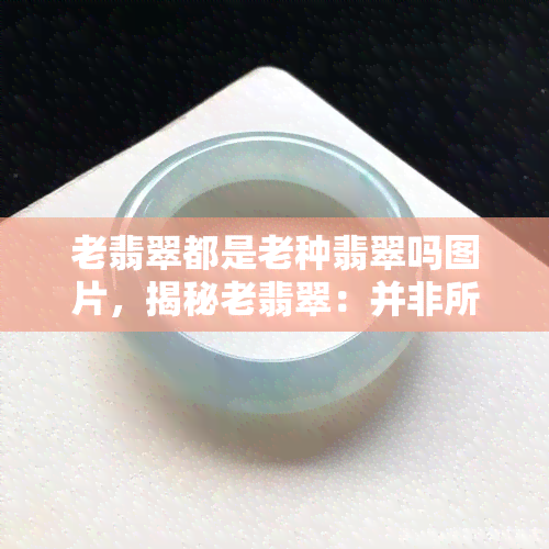 老翡翠都是老种翡翠吗图片，揭秘老翡翠：并非所有老翡翠都是老种翡翠，看图了解真相！