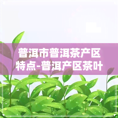 普洱市普洱茶产区特点-普洱产区茶叶特点