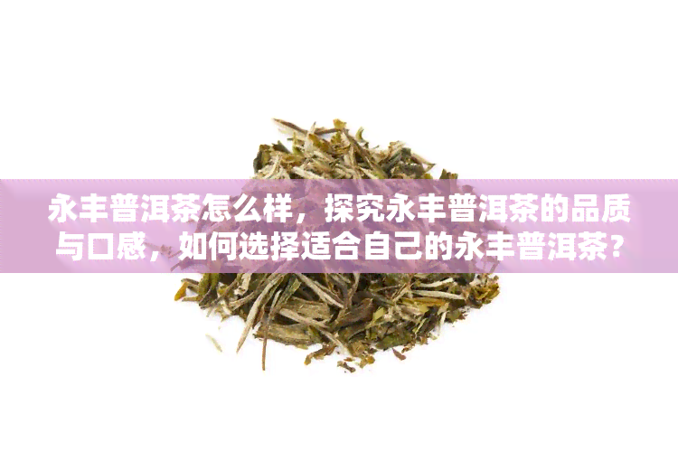 永丰普洱茶怎么样，探究永丰普洱茶的品质与口感，如何选择适合自己的永丰普洱茶？