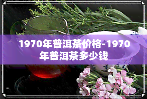 1970年普洱茶价格-1970年普洱茶多少钱