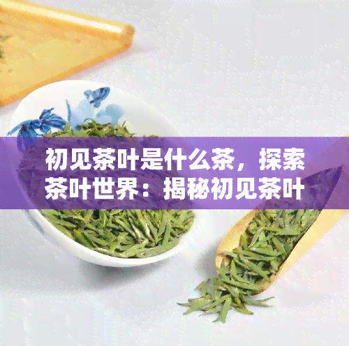 初见茶叶是什么茶，探索茶叶世界：揭秘初见茶叶的品种与特点