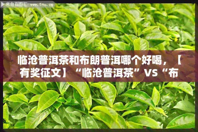 临沧普洱茶和布朗普洱哪个好喝，【有奖征文】“临沧普洱茶”VS“布朗普洱”，究竟谁才是喝的普洱？