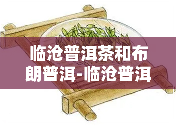 临沧普洱茶和布朗普洱-临沧普洱茶和布朗普洱哪个好