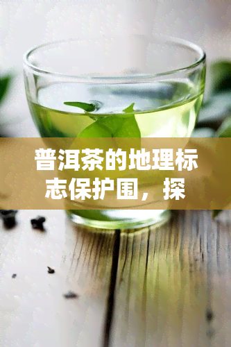 普洱茶的地理标志保护围，探寻普洱茶的独特韵味：地理标志保护围解析