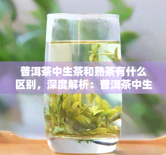 普洱茶中生茶和熟茶有什么区别，深度解析：普洱茶中生茶与熟茶的显著区别