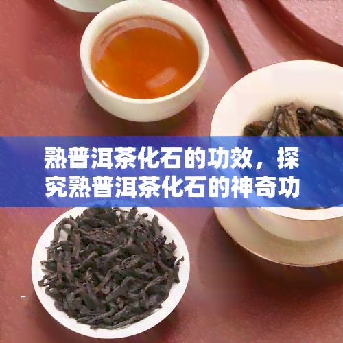 熟普洱茶化石的功效，探究熟普洱茶化石的神奇功效