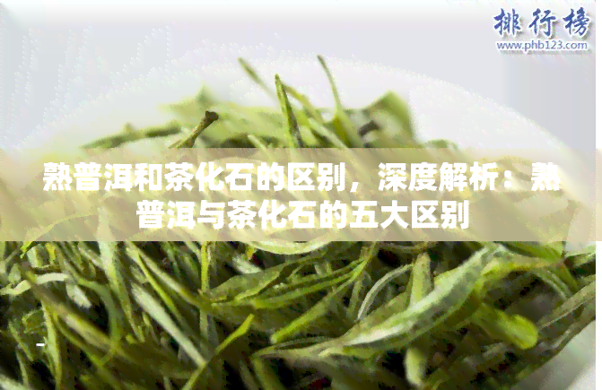 熟普洱和茶化石的区别，深度解析：熟普洱与茶化石的五大区别