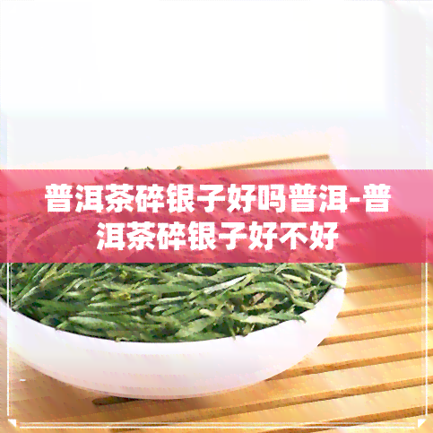 普洱茶碎银子好吗普洱-普洱茶碎银子好不好