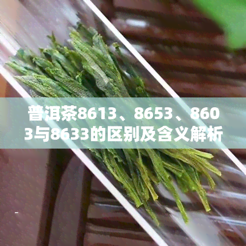 普洱茶8613、8653、8603与8633的区别及含义解析