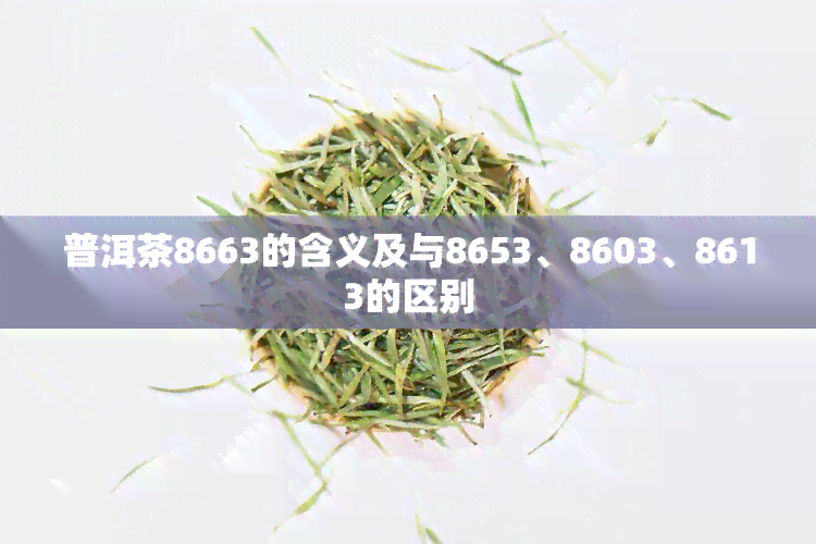 普洱茶8663的含义及与8653、8603、8613的区别