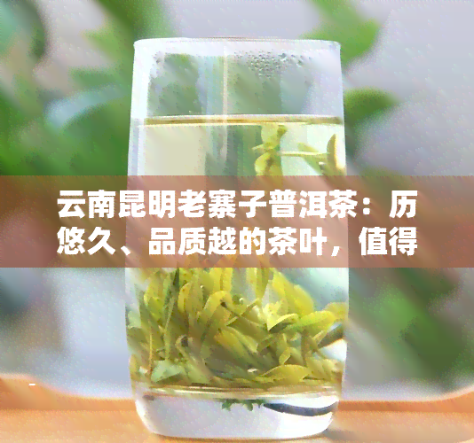 云南昆明老寨子普洱茶：历悠久、品质越的茶叶，值得信！