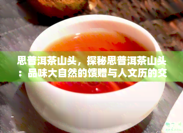 思普洱茶山头，探秘思普洱茶山头：品味大自然的馈赠与人文历的交融