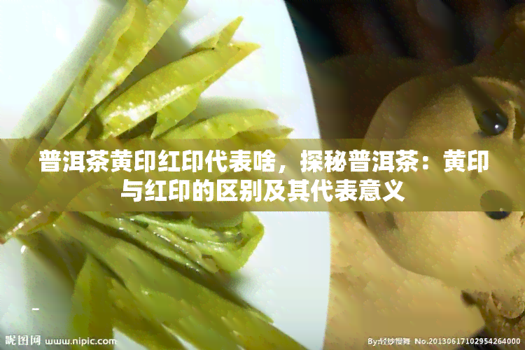 普洱茶黄印红印代表啥，探秘普洱茶：黄印与红印的区别及其代表意义