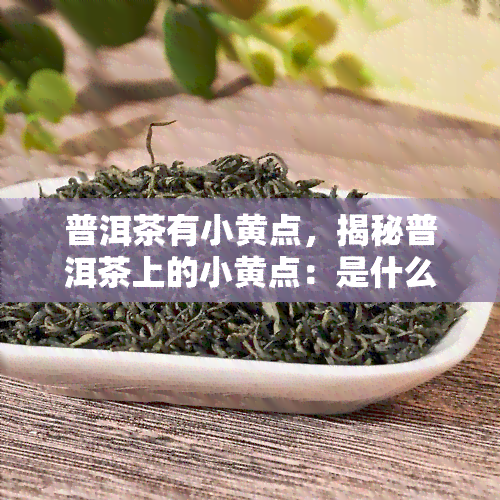 普洱茶有小黄点，揭秘普洱茶上的小黄点：是什么？为什么会出现？