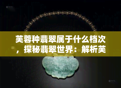 芙蓉种翡翠属于什么档次，探秘翡翠世界：解析芙蓉种翡翠的档次归属