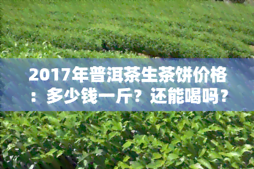 2017年普洱茶生茶饼价格：多少钱一斤？还能喝吗？