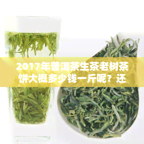 2017年普洱茶生茶老树茶饼大概多少钱一斤呢？还能喝吗？