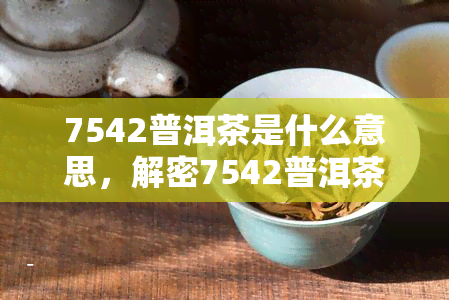 7542普洱茶是什么意思，解密7542普洱茶：含义与特点