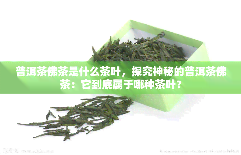 普洱茶佛茶是什么茶叶，探究神秘的普洱茶佛茶：它到底属于哪种茶叶？