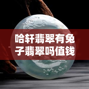 哈轩翡翠有兔子翡翠吗值钱吗，哈轩翡翠的兔子翡翠：价格与价值探讨