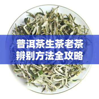 普洱茶生茶老茶辨别方法全攻略：视频、图片与图解，教你如何区分好坏