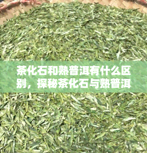 茶化石和熟普洱有什么区别，探秘茶化石与熟普洱的区别，你了解多少？